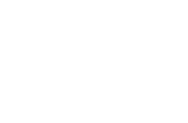 dsm_logo